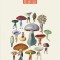 Umami (Spanish Edition)