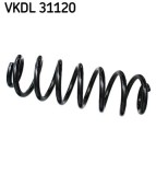 SKF VKDL 31120 Arc spiral