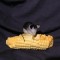 Decor / Vintage / Colectie - Bibelou soricel si porumb din portelan romanesc model deosebit !