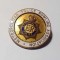 Insigna cu ac - Metropolitan Police Anglia