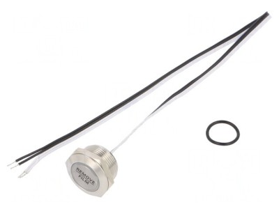 Comutator Anti-Vandalism Alb IP65 50mA 24V foto
