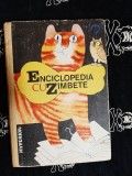 Enciclopedia cu zambete - Constantin Dragomir, Hyperion, 382 pagini - Roman