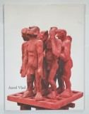 AUREL VLAD , CATALOG DE EXPOZITIE , TEXT IN MAGHIARA , ENGLEZA , ROMANA , 2013