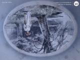 Carte postala deosebita , interesanta ,, Circulata, Printata