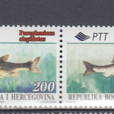 BOSNIA HERTEGOVINA 1996 FAUNA MARINA PESTI SERIE MNH