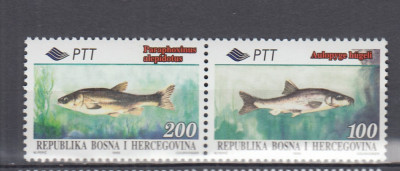 BOSNIA HERTEGOVINA 1996 FAUNA MARINA PESTI SERIE MNH foto