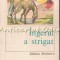 Ingerul A Strigat - Fanus Neagu