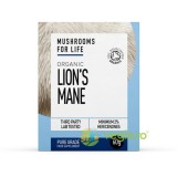 Lion's Mane Mushroom 1000mg Pure Grade Extract Powder Organic 60g