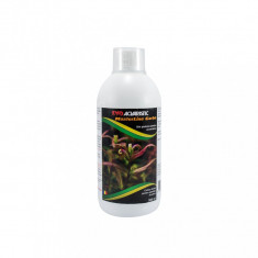 Carbon Lichid Masterline Carbo (500 ml) foto