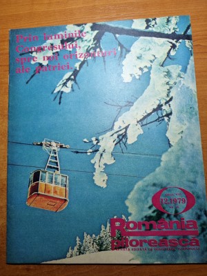 romania pitoreasca decembrie 1979-dumbrava sibiului,OJT sibiu,orasul brad foto