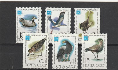 Fauna ,pasari,URSS. foto