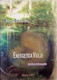 Energetica viului. Introducere in bioenergetica - Michael Szellner