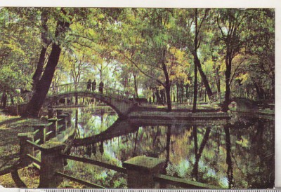 bnk cp Botosani - Vedere din parc - uzata foto