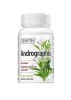 Andrographis 30cps Zenyth, Zenyth Pharmaceuticals