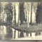 AD 32 C. P. VECHE - BOURY-EN-VEXIN(OISE)-PARC DU CHATEAU- CIRCULATA 1917 -FRANTA