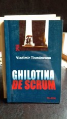 GHILOTINA DE SCRUM - VLADIMIR TISMANEANU foto
