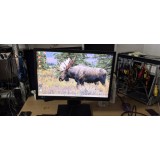 Monitor Samsung S22S450MW 22 inch