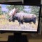 Monitor Samsung S22S450MW 22 inch