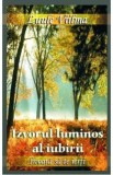 Izvorul luminos al iubirii - Luule Viilma