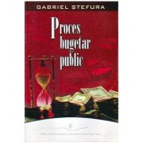 Gabriel Ștefura - Proces bugetar public - 105137