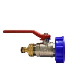 1" IG IBC Container S60 + Robinet cu bilă + Cuplaj rapid