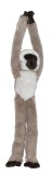 Maimuta care se agata Vervet, Wild Republic