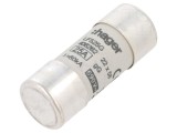 Siguranță gG 25A 690V Cilindrică Industrială