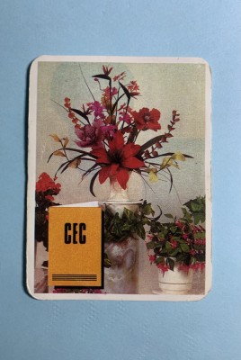 Calendar 1995 CEC foto