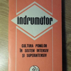 CULTURA POMILOR IN SISTEM INTENSIV SI SUPERINTENSIV. INDRUMATOR-I. ISAC SI COLAB.