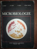 Microbiologie- A. Ivanof, M. Ciupe