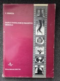 BAZELE RADIOLOGIEI SI IMAGISTICII MEDICALE - Grancea