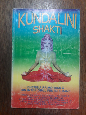 Kundalini Shakti - Swami Narayanananda / R8P3F foto