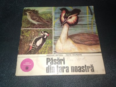 NICOLAE SAFTOIU - PASARI DIN TARA NOASTRA foto