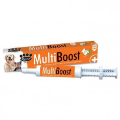 Multi Boost - Multi-vitamine + minerale - 60 ml foto