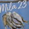 Mila 23 - Dan Ivan