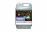 Solutie piscina anti alge ACVA QUAT Arca Lux, Bidon 5 L