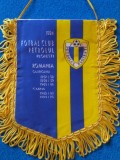 Fanion fotbal - FC PETROLUL PLOIESTI