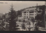 CPIB 22588 - CARTE POSTAL - PREDEAL, VEDERE, RPR, Circulata, Fotografie