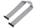Cablu panglică SAMTEC IDC 254mm FFSD-13-D-10.00-01-N cu conectori IDC ambele părți