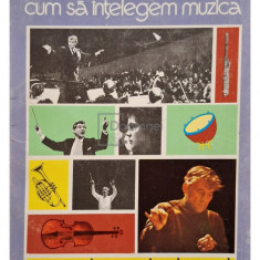 Ileana Tanase Bogdanet - Cum sa intelegem muzica (editia 1982)