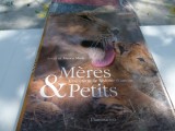 Cumpara ieftin Meres &amp; petits