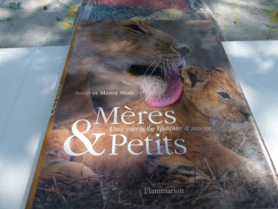 Meres &amp;amp; petits foto
