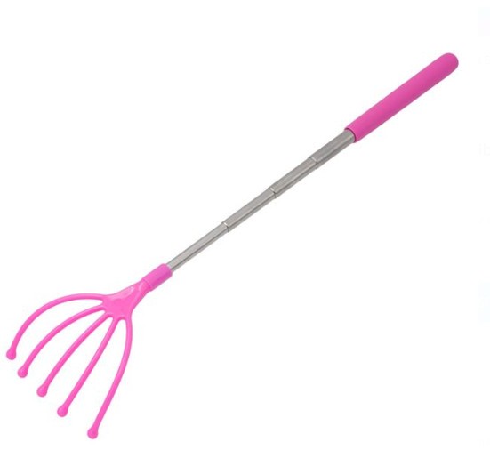 Scarpinator Extensibil 25-62cm