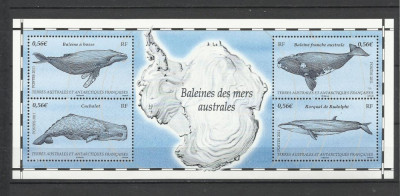 TERITORIILE FRANCEZE DIN ANTARCTICA TAAF 2011 FAUNA MARINA BALENE foto