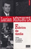 Lucian Mindruta - Fabrica de tamaie. Carte de munca in industria cuvintelor, Polirom
