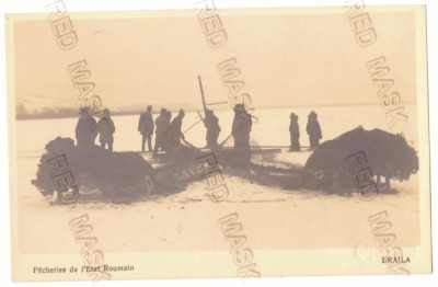 368 - BRAILA, Pescari la copca, Romania - old postcard, real Photo - unused foto