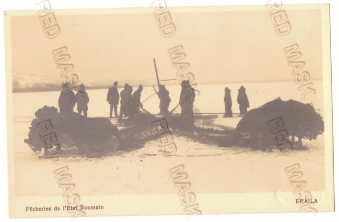 368 - BRAILA, Pescari la copca, Romania - old postcard, real Photo - unused