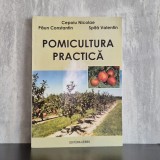 Nicolae Cepoiu; Constantin Păun; Valentin Spiță - Pomicultura practică | pomicultură, &icirc;ngrijirea pomilor, culturi pomicole
