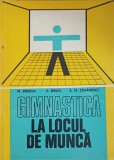 GIMNASTICA LA LOCUL DE MUNCA-M. BIRJEGA, A. BIRLEA, A.M. STEFANESCU-247180
