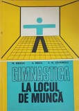 GIMNASTICA LA LOCUL DE MUNCA-M. BIRJEGA, A. BIRLEA, A.M. STEFANESCU